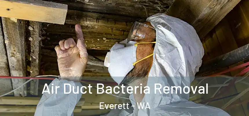 Air Duct Bacteria Removal Everett - WA