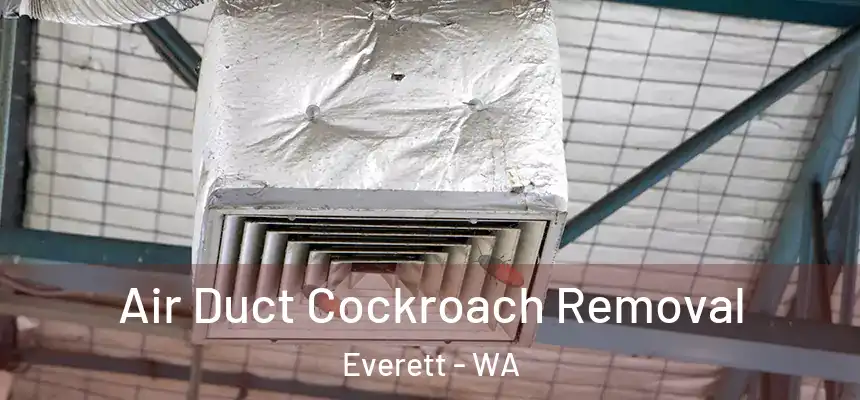 Air Duct Cockroach Removal Everett - WA