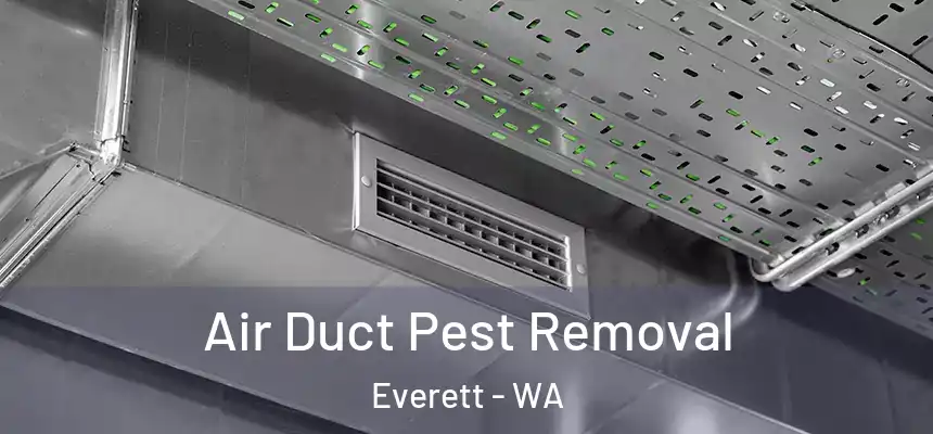 Air Duct Pest Removal Everett - WA