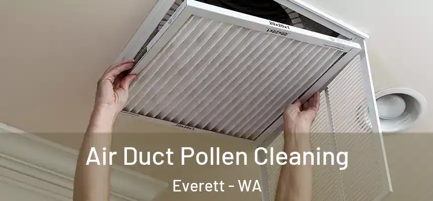 Air Duct Pollen Cleaning Everett - WA