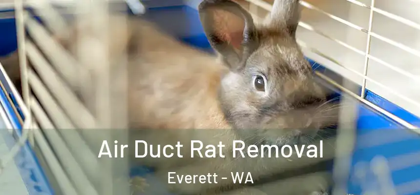 Air Duct Rat Removal Everett - WA