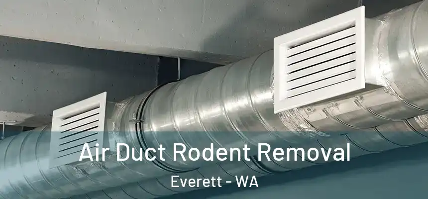 Air Duct Rodent Removal Everett - WA
