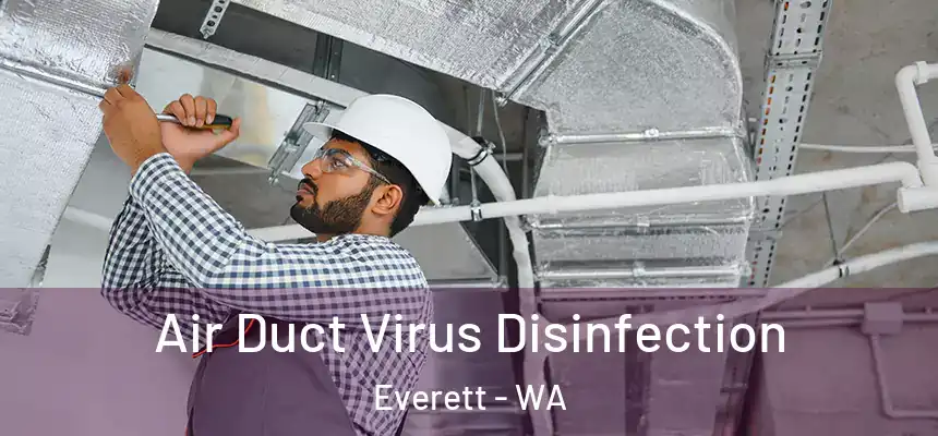 Air Duct Virus Disinfection Everett - WA