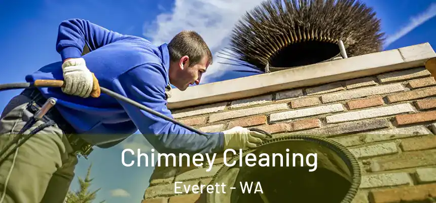 Chimney Cleaning Everett - WA
