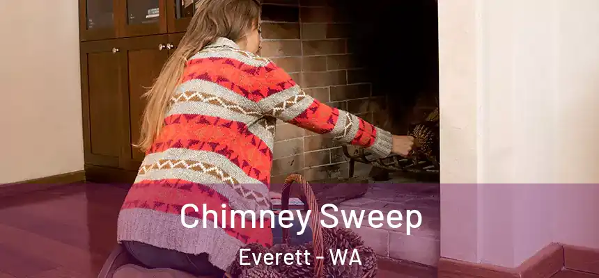 Chimney Sweep Everett - WA