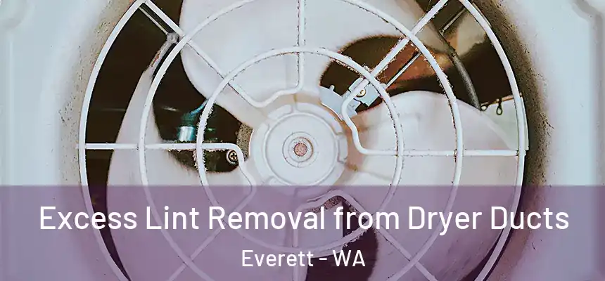 Excess Lint Removal from Dryer Ducts Everett - WA