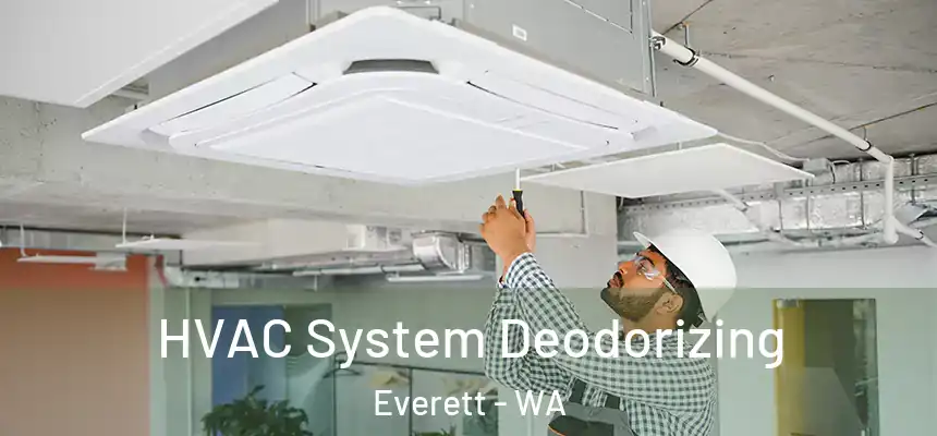 HVAC System Deodorizing Everett - WA
