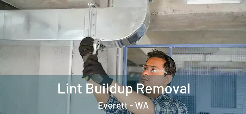 Lint Buildup Removal Everett - WA