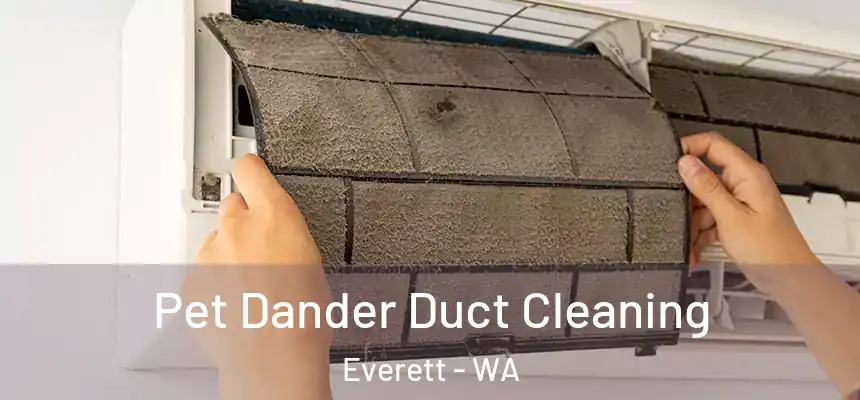Pet Dander Duct Cleaning Everett - WA