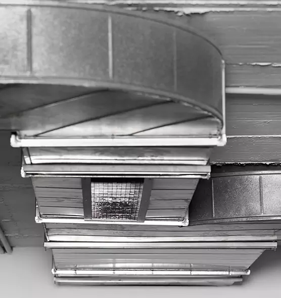 Professional Air Duct Pet Hair Removal in Everett, WA