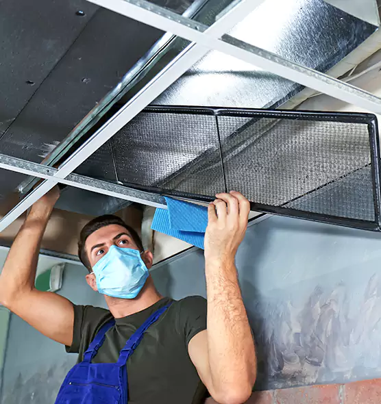 Professional Air Duct Pollen Cleaning in Everett, WA