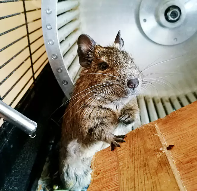 Why Homeowners & Businesses Trust Us Everett, WA