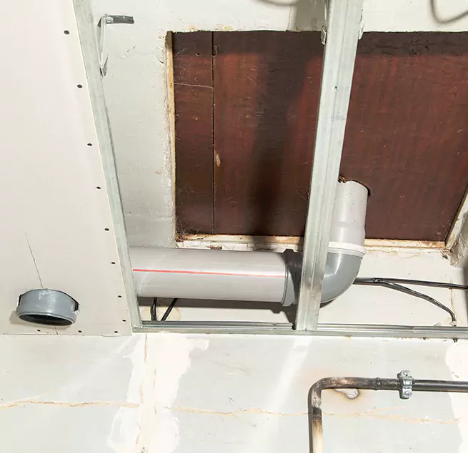 Why Homeowners & Businesses Trust Us in Everett, WA?