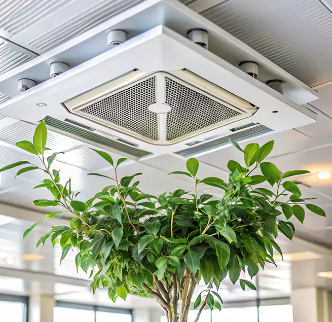 Why Homeowners & Businesses Trust Us in Everett, WA?