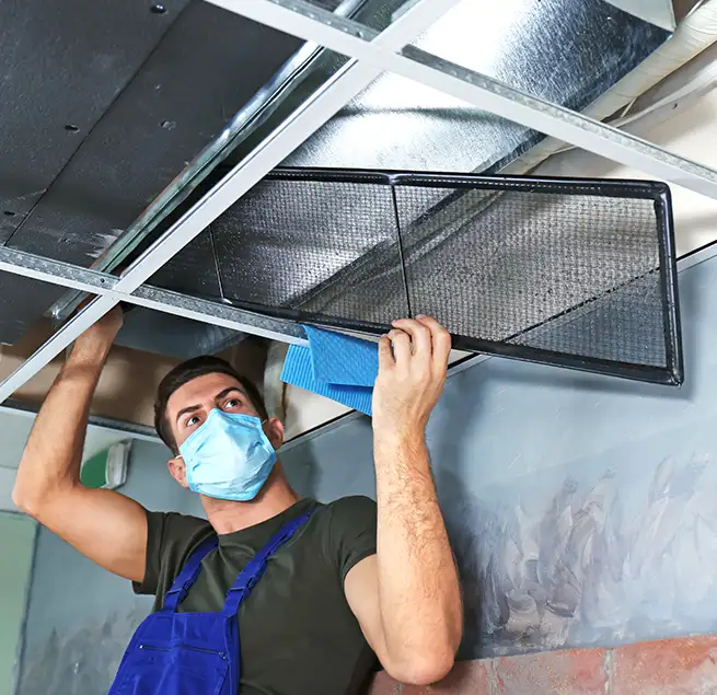 Why Homeowners & Businesses Trust Us in Everett, WA?