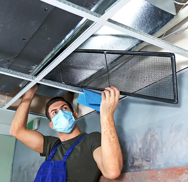 Why Homeowners Businesses Trust Us in Everett, WA?